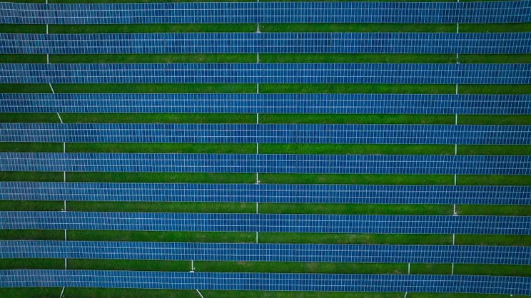 A solar farm
