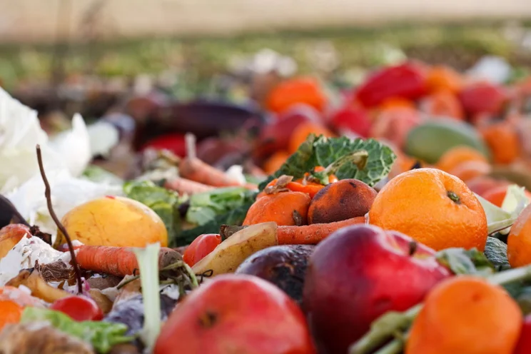 vegetables and fruit appear in a pile of food waste in a landfill