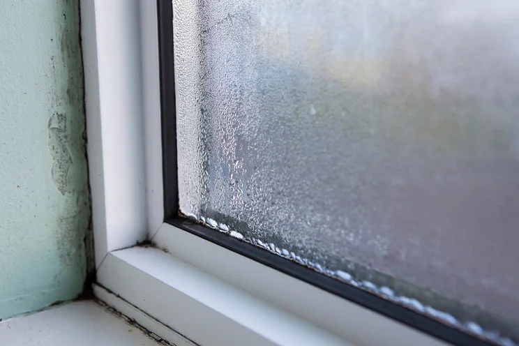white uPVC windows with condensation and mould seen from inside house