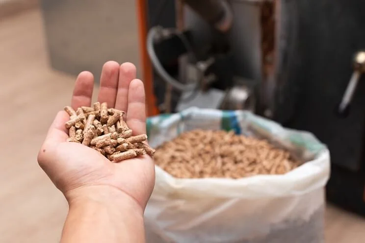 Biomass pellets for boiler