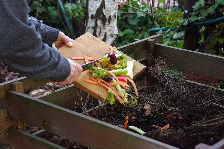 Putting vegetables into compost bin