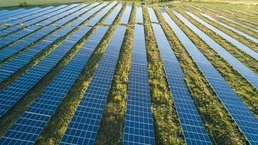 Solar panel farm with long rows of solar panels in a Cornish field