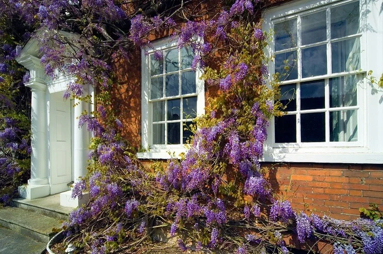 Sash windows on a traditional home
