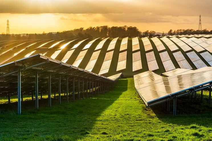 Solar panels in a field at an angle