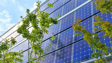 Blue solar panels stacked vertically to create a solar panel fence with tall trees in the foreground