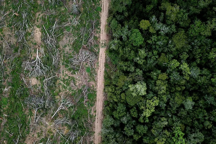 Carbon offsetting doesn't work