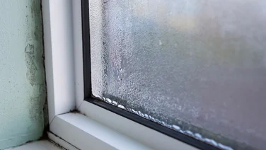 white uPVC windows with condensation and mould seen from inside house