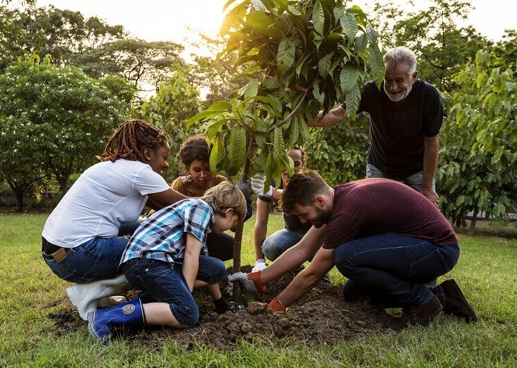 A group of people planting a tree