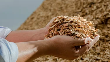 Someone holding a pile of wood chips in their hands with rolled up sleeves