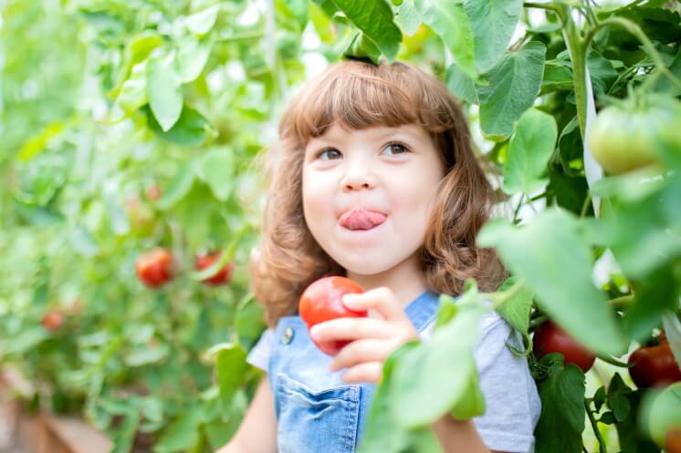 child eating a homegrown tomato in a garden