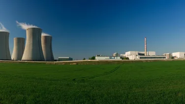 power plants set against a field of green grass