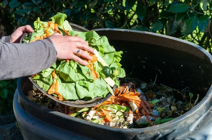 a person shifting food into a compost bin