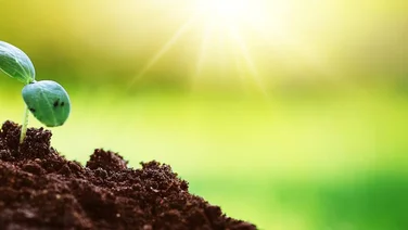 Eco News