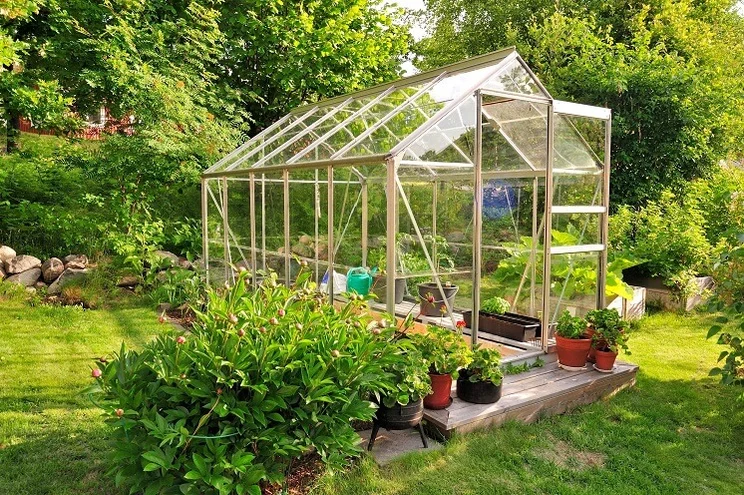 Side view of a glass greenhouse in a green garden with plant pots inside