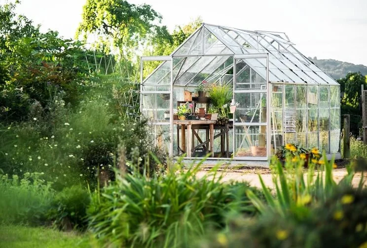 View of a glass greenhouse in a garden with plants and shrubs in the foreground