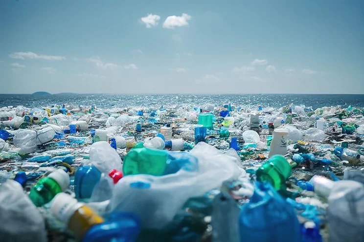 Plastic rubbish littering a coastline