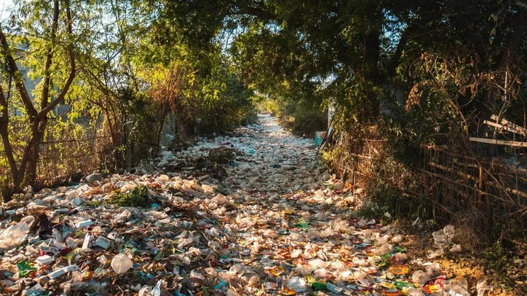 Plastic pollution
