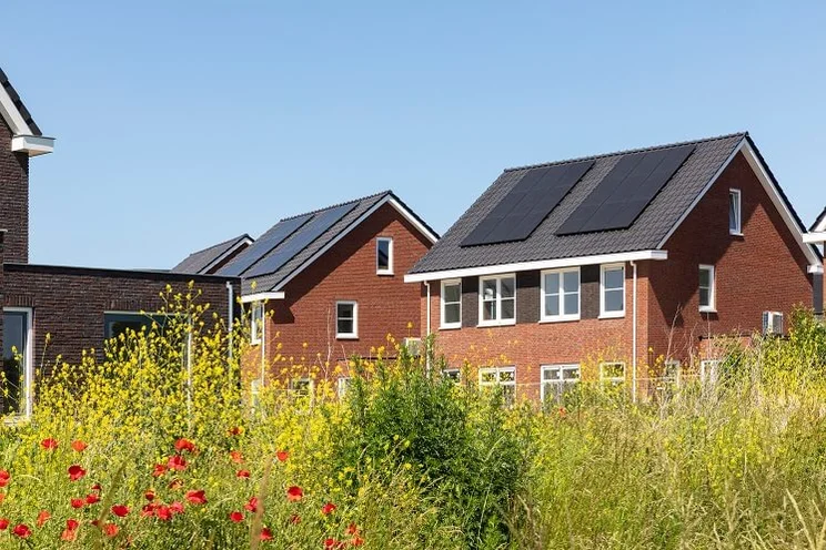 solar panels on roof of red brick house, pictured from behind wildflower bushes