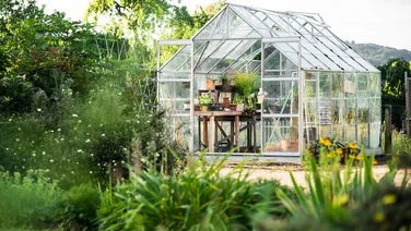 View of a glass greenhouse in a garden with plants and shrubs in the foreground