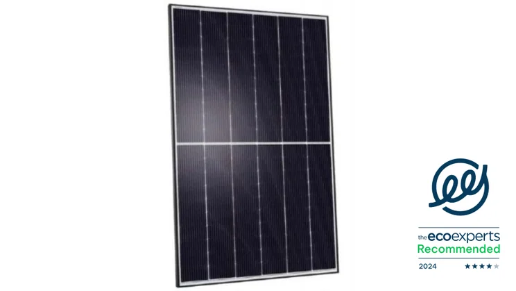 Q Cells Q.Peak DUO BLK ML-G9