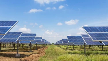 solar panels in a field
