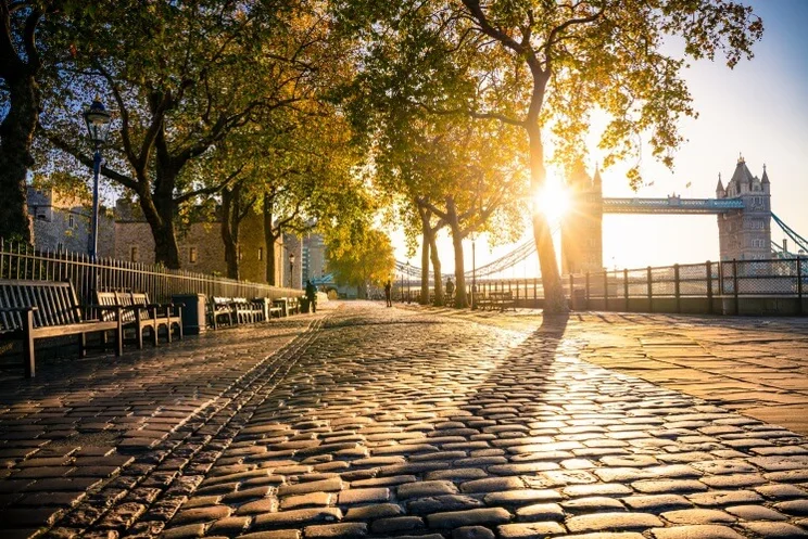 the sun shining on a London street, Tower Bridge and a tree