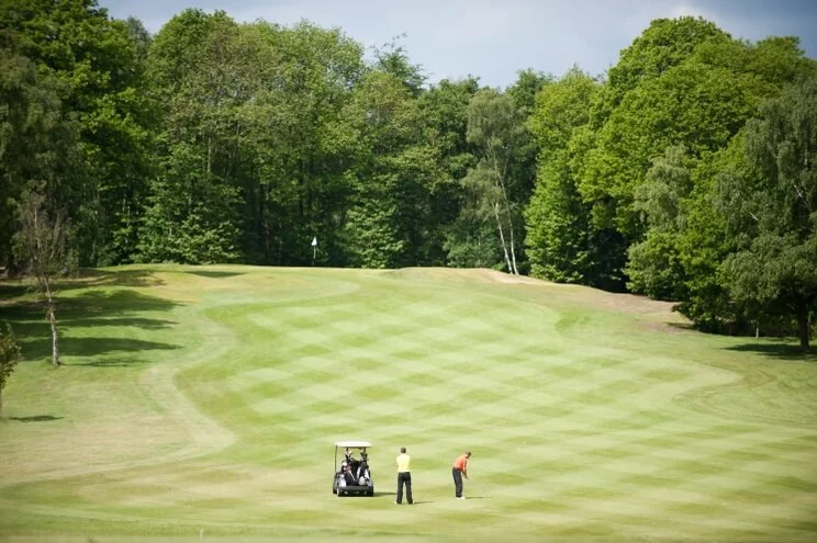 a bird's eye view of a golf course with two golfers