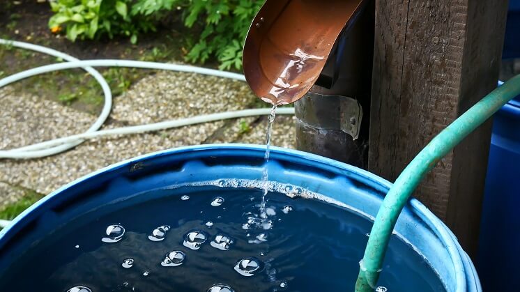 harvesting rain water