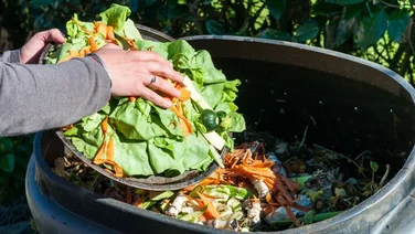 a person shifting food into a compost bin