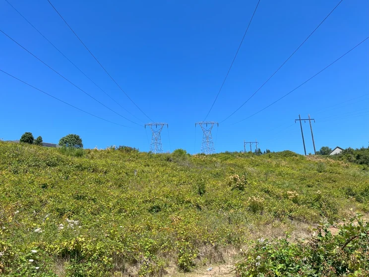 Electrical pylons on a hill.