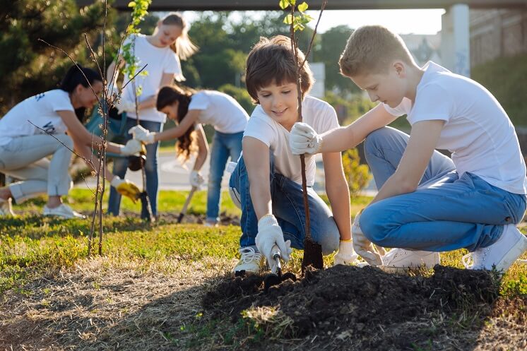 A group of children planting a tree