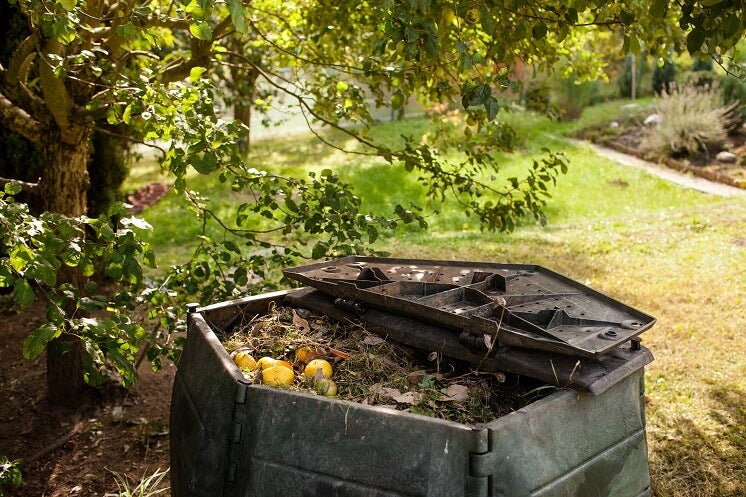 A compost bin in a sunny garden