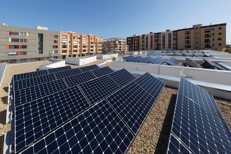 solar panels angled on a flat roof