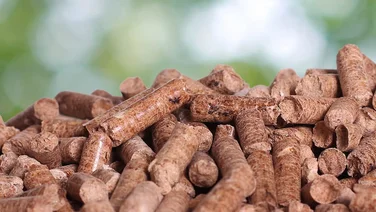 Wood pellets used for biomass fuel