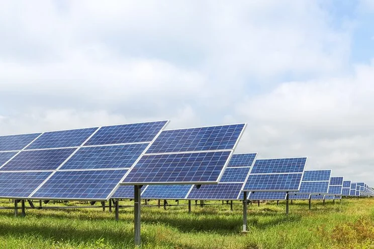 Solar farm with grass underneath