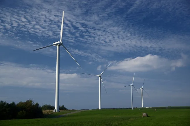 wind farm