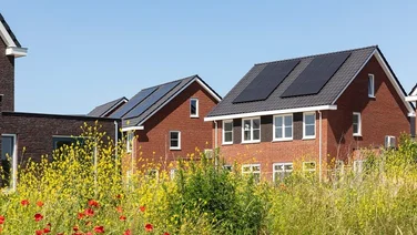A group of new build semi-detached houses with solar panels on the roofs and wildflowers in the foreground