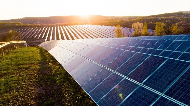 Solar panels in field