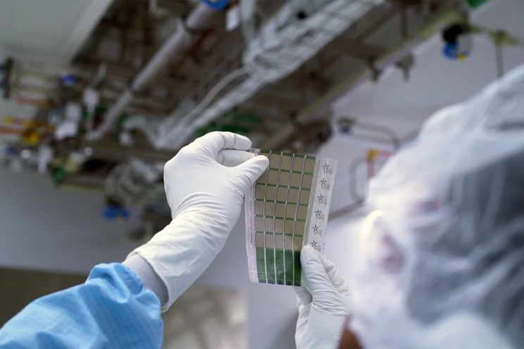 an MIT scientist holding up a printed solar cell