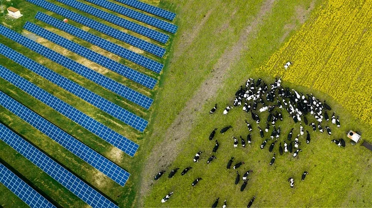 Solar panels on a farm