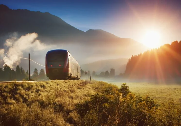 Train in a field on a sunny day