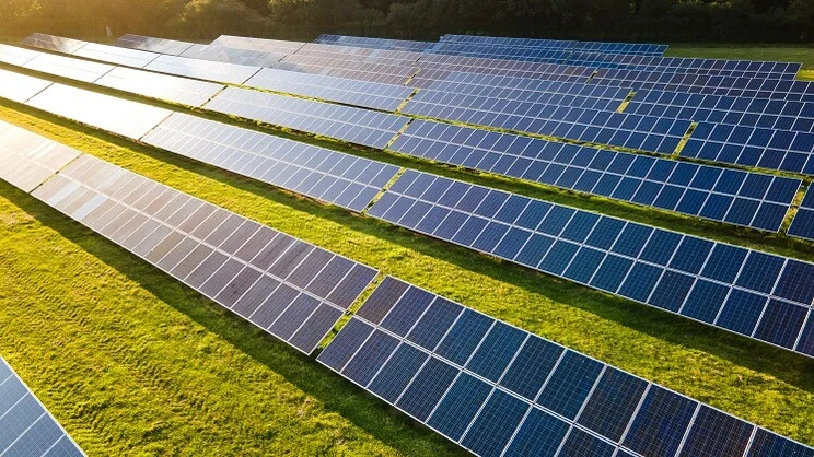 solar panels in a field