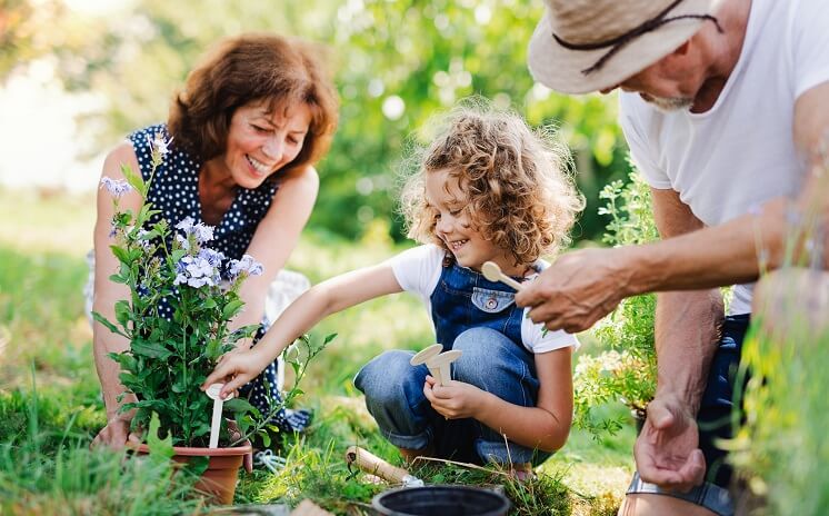 Growing food at home