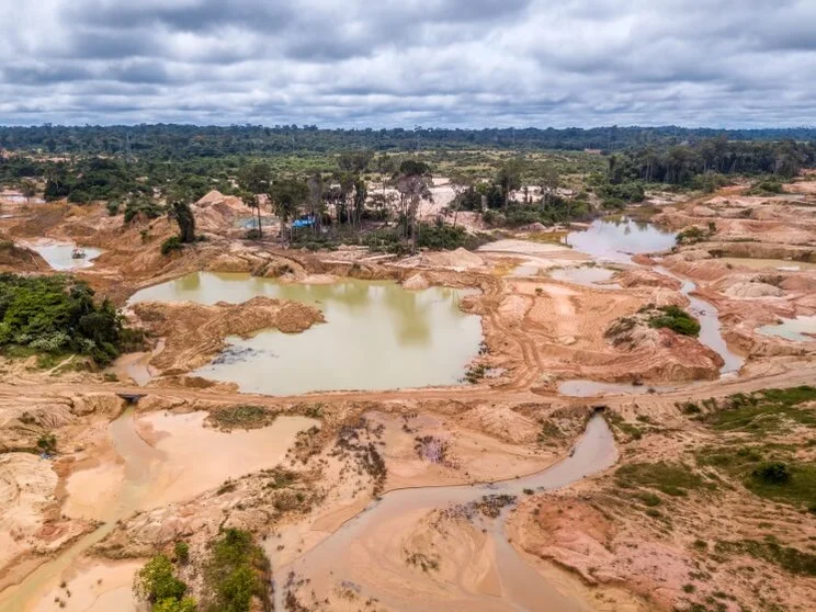 amazon rainforest deforestation