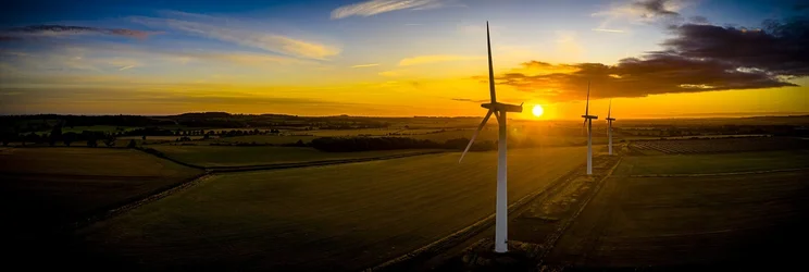 carbon neutral companies